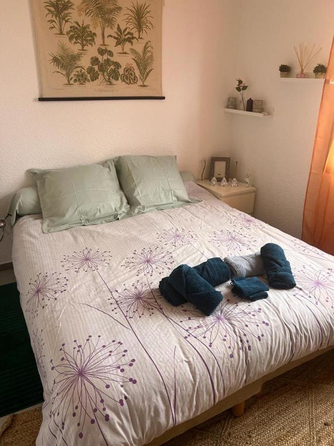 Superbe appartement avec parking prive et entrée autonome Rennes Extérieur photo